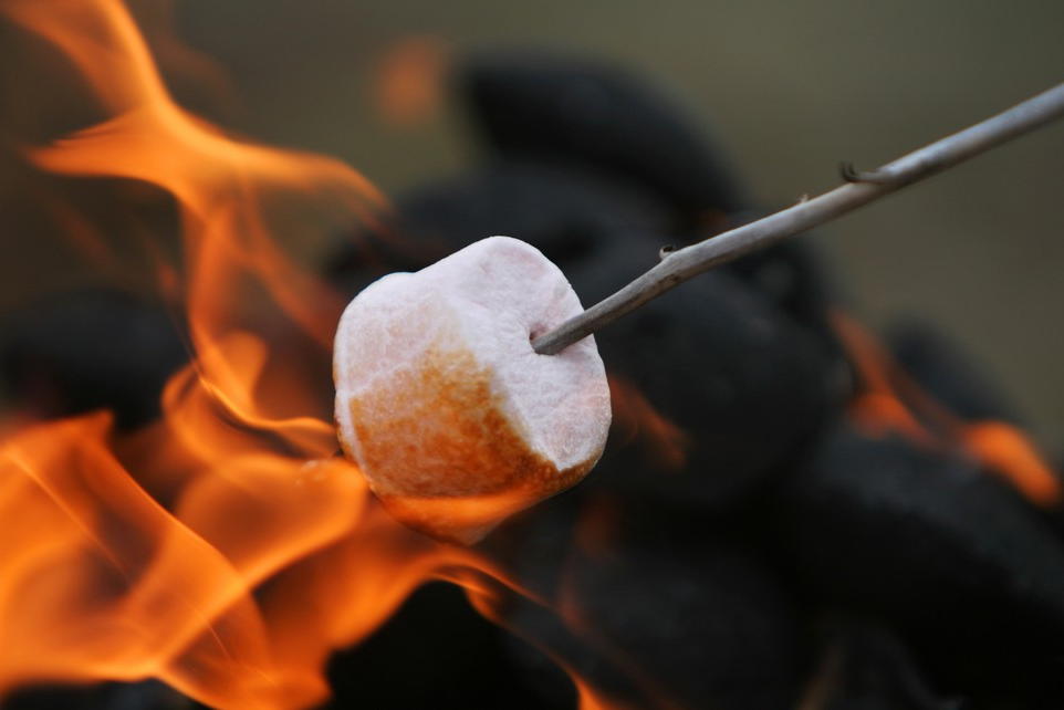 Marshmallow roasting