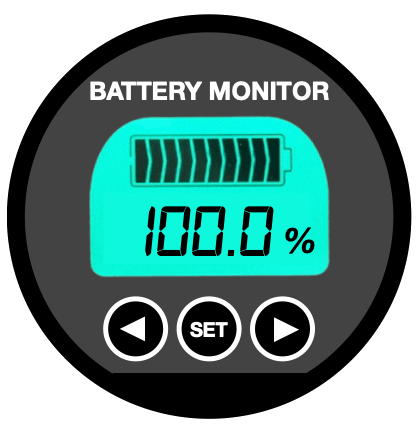 Battery monitor display