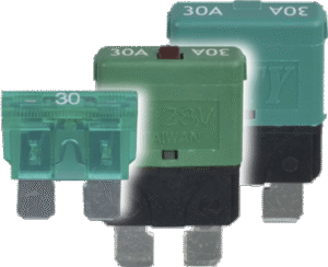 30A fuses